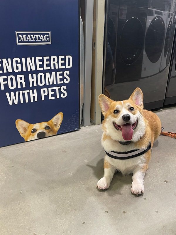 Copy of Butters and his doppelganger