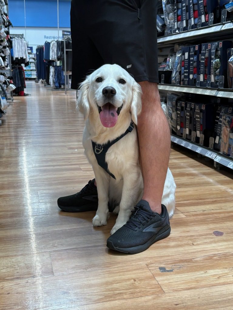 Copy of Dani doing center task