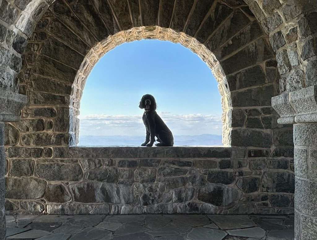 Copy of Rory on vacation